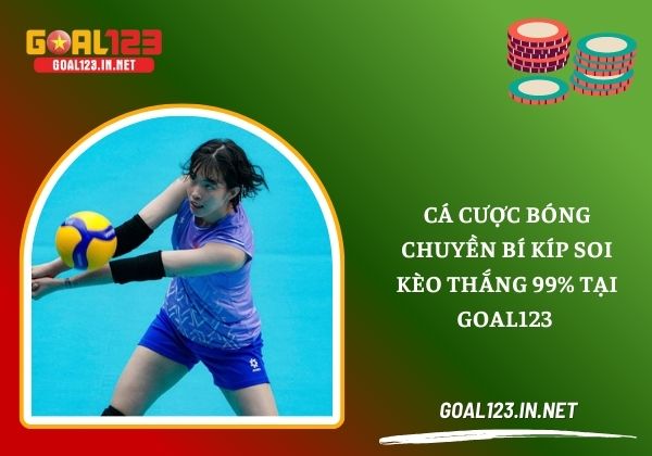 Cá cược bóng chuyền